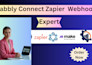 do make com pabbly connect zapier integration integromat CRM automation webhook